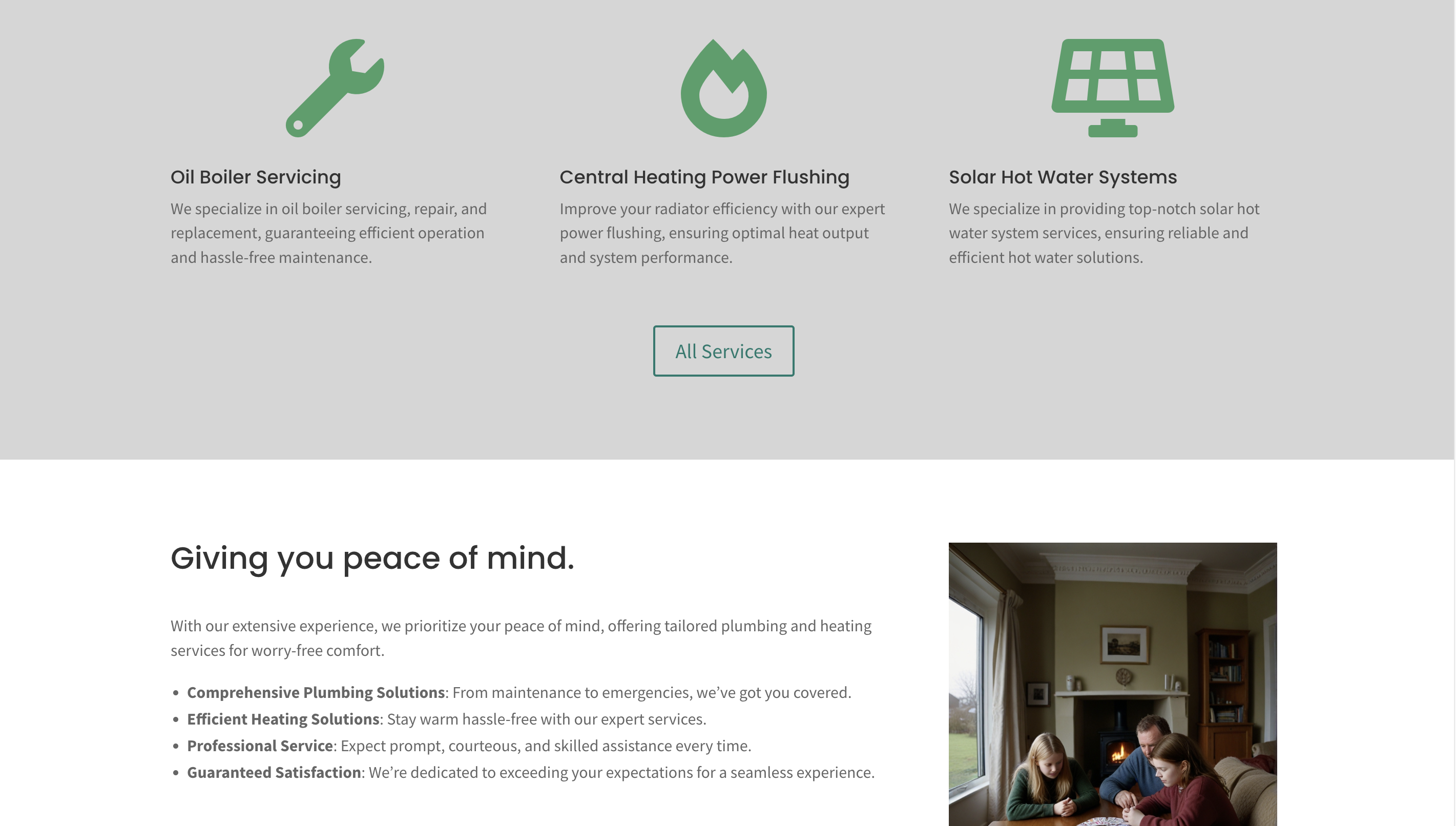 MayoPlumber.ie services section